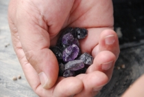 Поездка за радугой