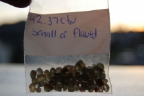 Поездка за радугой