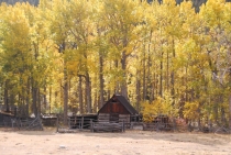 Поездка за радугой