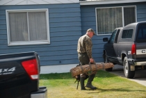 Поездка за радугой