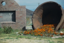 Поездка за радугой