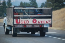 Поездка за радугой