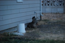 Поездка за радугой