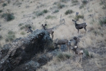 Поездка за радугой