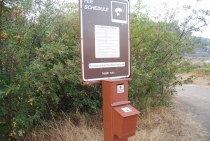 Поездка за радугой