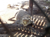 Мой вариант проведения семи дней на Кубе с машиной