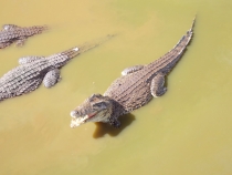 Мой вариант проведения семи дней на Кубе с машиной