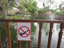 Медовый месяц на Бали и Гили