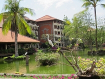 Медовый месяц на Бали и Гили