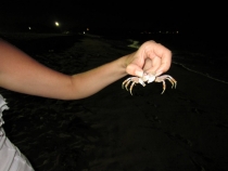 Медовый месяц на Бали и Гили