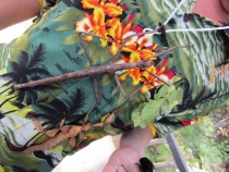 Медовый месяц на Бали и Гили