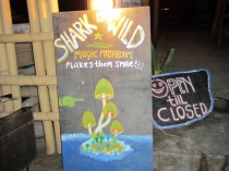 Медовый месяц на Бали и Гили