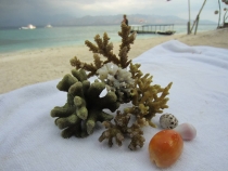 Медовый месяц на Бали и Гили