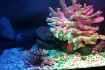 Вьетнам, Нячанг