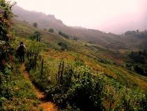 Вьетнам север 2012