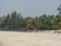 Кашид или пляжи Махараштры. февраль 2012