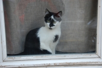 Бельгия-Франция-Нидерланды осень 2012