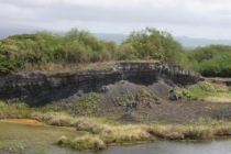 Галапагосы(дэйли-дайвинг)+Перу(наследие инков). Июнь 2012.