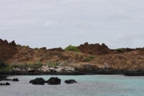 Галапагосы(дэйли-дайвинг)+Перу(наследие инков). Июнь 2012.