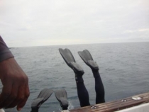 Галапагосы(дэйли-дайвинг)+Перу(наследие инков). Июнь 2012.