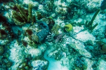 Turks & Caicos