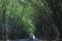 Бразилия сентябрь 2012 (Rio,Morro de São Paulo,Salvador,Bonito,Pantanal,Iguasu) Фото