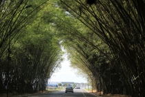 Бразилия сентябрь 2012 (Rio,Morro de São Paulo,Salvador,Bonito,Pantanal,Iguasu) Фото