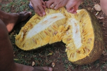 Бразилия сентябрь 2012 (Rio,Morro de São Paulo,Salvador,Bonito,Pantanal,Iguasu) Фото