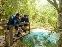 Бразилия сентябрь 2012 (Rio,Morro de São Paulo,Salvador,Bonito,Pantanal,Iguasu) Фото