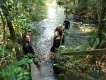 Бразилия сентябрь 2012 (Rio,Morro de São Paulo,Salvador,Bonito,Pantanal,Iguasu) Фото