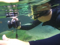 Бразилия сентябрь 2012 (Rio,Morro de São Paulo,Salvador,Bonito,Pantanal,Iguasu) Фото