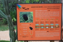 Бразилия сентябрь 2012 (Rio,Morro de São Paulo,Salvador,Bonito,Pantanal,Iguasu) Фото