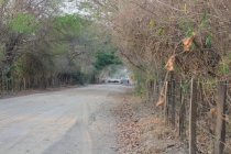 Бразилия сентябрь 2012 (Rio,Morro de São Paulo,Salvador,Bonito,Pantanal,Iguasu) Фото