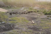 Бразилия сентябрь 2012 (Rio,Morro de São Paulo,Salvador,Bonito,Pantanal,Iguasu) Фото