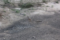 Бразилия сентябрь 2012 (Rio,Morro de São Paulo,Salvador,Bonito,Pantanal,Iguasu) Фото