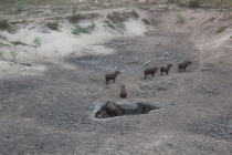 Бразилия сентябрь 2012 (Rio,Morro de São Paulo,Salvador,Bonito,Pantanal,Iguasu) Фото