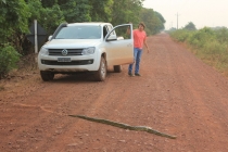 Бразилия сентябрь 2012 (Rio,Morro de São Paulo,Salvador,Bonito,Pantanal,Iguasu) Фото