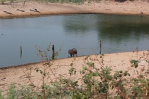 Бразилия сентябрь 2012 (Rio,Morro de São Paulo,Salvador,Bonito,Pantanal,Iguasu) Фото