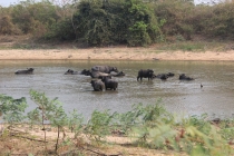 Бразилия сентябрь 2012 (Rio,Morro de São Paulo,Salvador,Bonito,Pantanal,Iguasu) Фото