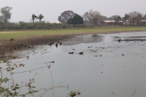 Бразилия сентябрь 2012 (Rio,Morro de São Paulo,Salvador,Bonito,Pantanal,Iguasu) Фото