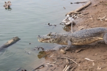Бразилия сентябрь 2012 (Rio,Morro de São Paulo,Salvador,Bonito,Pantanal,Iguasu) Фото
