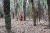 Бразилия сентябрь 2012 (Rio,Morro de São Paulo,Salvador,Bonito,Pantanal,Iguasu) Фото