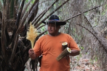 Бразилия сентябрь 2012 (Rio,Morro de São Paulo,Salvador,Bonito,Pantanal,Iguasu) Фото