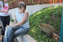 Бразилия сентябрь 2012 (Rio,Morro de São Paulo,Salvador,Bonito,Pantanal,Iguasu) Фото