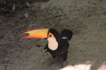 Бразилия сентябрь 2012 (Rio,Morro de São Paulo,Salvador,Bonito,Pantanal,Iguasu) Фото