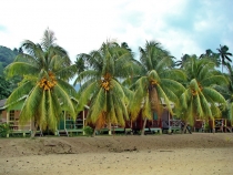 Малайзия в 2010 году - запоздалый отчет(Тиоман-КЛ-Перхентианы).