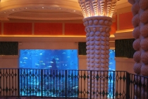 Dubai, ноябрь 2012, только ФОТО Dubai, ноябрь 2012, только ФОТО