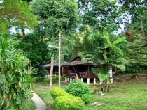 Малайзия в 2010 году - запоздалый отчет(Тиоман-КЛ-Перхентианы).