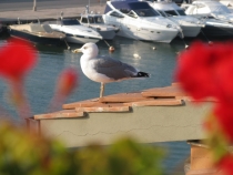 Отдых на море в Италии на побережье Тосканы