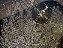 Малайзия в 2010 году - запоздалый отчет(Тиоман-КЛ-Перхентианы).